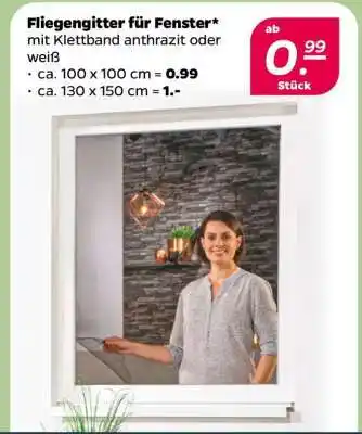 NETTO Fliegengitter für Fenster Angebot