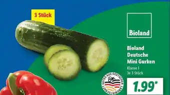 Lidl Bioland Deutsche Mini Gurken Angebot