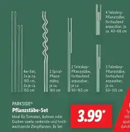 Lidl Pflanzstäbe-Set Angebot
