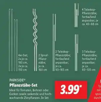 Lidl Pflanzstäbe-Set Angebot