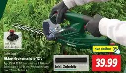 Lidl PARKSIDE Akku-Heckenschere 12 V Angebot