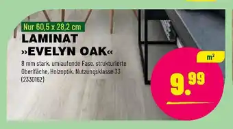 Leitermann Baumarkt Laminat Evelyn Oak Angebot