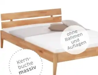 XXXLutz CarryHome Bett Angebot