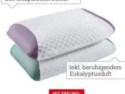XXXLutz Sleeptex Nackenstützkissen Landa Angebot