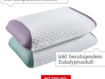 XXXLutz Sleeptex Nackenstützkissen Landa Angebot