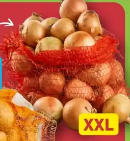 Aldi Nord Zwiebeln XXL Angebot