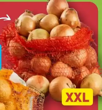 Aldi Nord Zwiebeln XXL Angebot