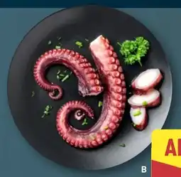 Aldi Nord BBQ Oktopusarme Angebot
