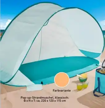 Aldi Nord Crane Pop-Up Strandmuschel Angebot