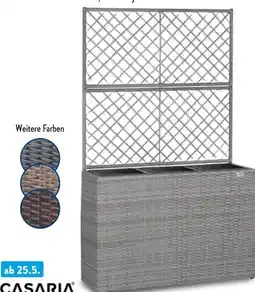 Aldi Nord Casaria Polyrattan-Blumenkasten Angebot