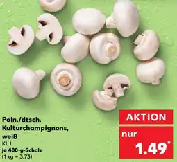 Kaufland Poln./dtsch. Kulturchampignons, weiß Angebot