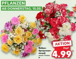 Kaufland Nelken Sprayrosenstrauß Angebot
