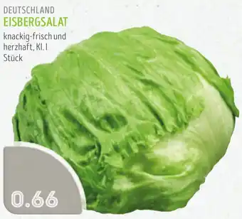 Edeka Struve Deutschland eisbergsalat Angebot