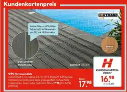 Hellweg Hartmann wpc-terrassendiele Angebot