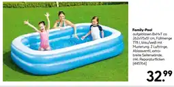Hellweg Family-pool Angebot