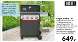 Hellweg Weber gasgrill „spirit e-425“ Angebot