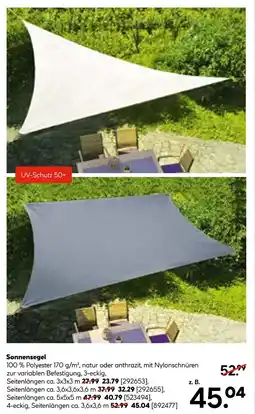 Hellweg Sonnensegel Angebot