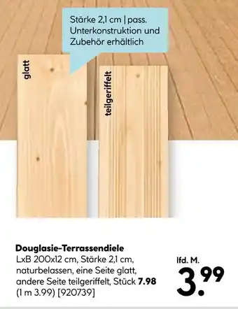 Hellweg Douglasie-terrassendiele Angebot