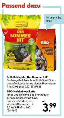 Hellweg Grill-holzkohle „der sommer hit“ oder bbq-holzkohlebriketts Angebot