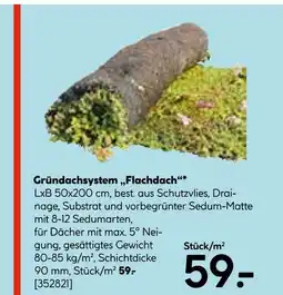 Hellweg Gründachsystem „flachdach“ Angebot