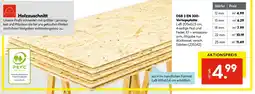 Hellweg Osb 3 en 300-verlegeplatte Angebot