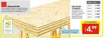 Hellweg Osb 3 en 300-verlegeplatte Angebot