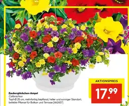 Hellweg Zauberglöckchen-ampel Angebot