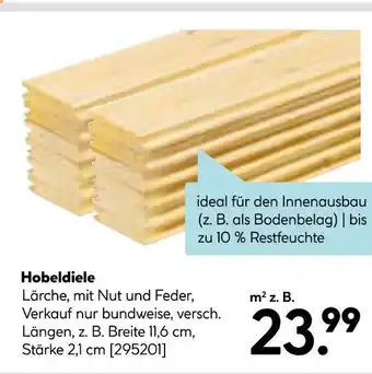 Hellweg Hobeldiele Angebot