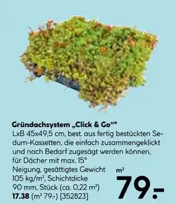 Hellweg Gründachsystem „click & go“ Angebot