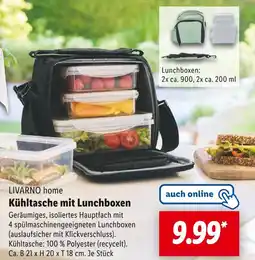Lidl Livarno home kühltasche mit lunchboxen Angebot