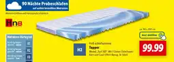 Lidl Hn8 topper Angebot