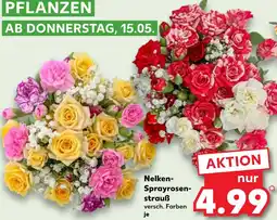 Kaufland Nelken-sprayrosenstrauß Angebot