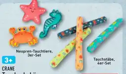 Aldi Nord Crane Tauchzubehör-Set Angebot