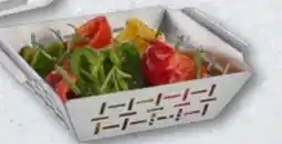 Aldi Nord BBQ Grillkorb Angebot