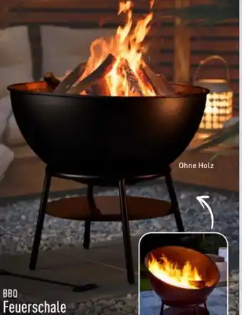 BBQ Feuerschale Angebot bei Aldi Nord