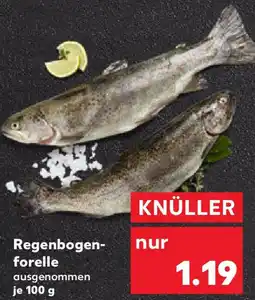Kaufland Regenbogenforelle Angebot