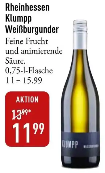 Galeria Markthalle Rheinhessen Klumpp Weißburgunder Angebot