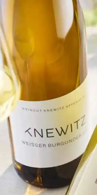 Galeria Markthalle Rheinhessen Knewitz Weißburgunder Angebot