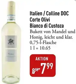 Galeria Markthalle Italien / Colline DOC Corte Olivi Bianco di Custoza Angebot