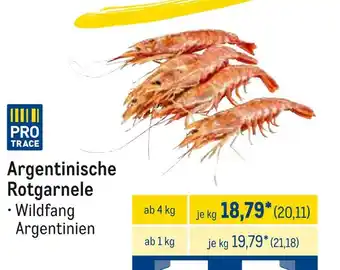 METRO Argentinische rotgarnele Angebot