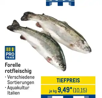 METRO Forelle rotfleischig Angebot