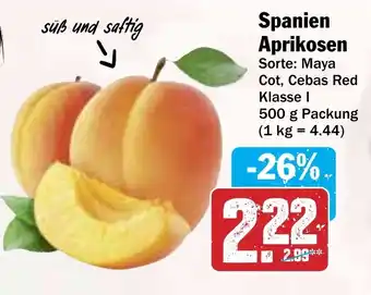 Hit Spanien Aprikosen Angebot