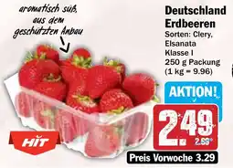 Hit Deutschland Erdbeeren Angebot