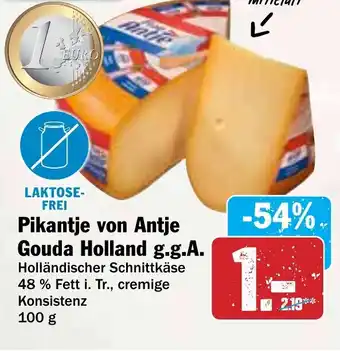 Hit Pikantje von Antje Gouda Holland g.g.A. Angebot