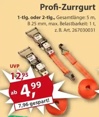 Sonderpreis Baumarkt Profi-Zurrgurt Angebot