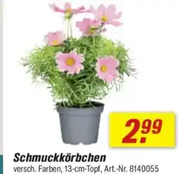 toom Baumarkt Schmuckkörbchen Angebot