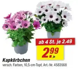 toom Baumarkt Kapkörbchen Angebot