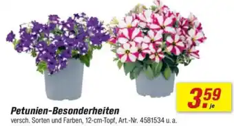 toom Baumarkt Petunien-Besonderheiten Angebot