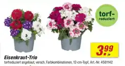 toom Baumarkt Eisenkraut-Trio Angebot