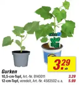 toom Baumarkt Gurken Angebot